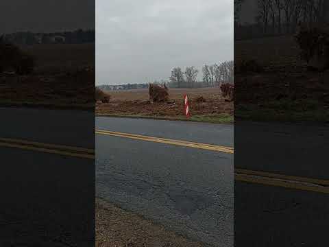 Projektowane skrzyżowanie typu rondo 3+290,93