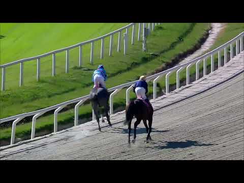 220424 c01 COMPADRITO VF