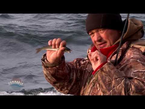 Прграмма Поплавок_Рыбалка на Байкале