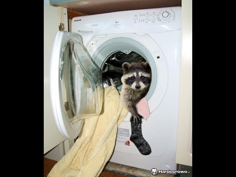 OMC Doktor - Pralnia 666 [Loundry Szop]