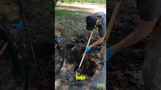 How to use a pressure washer to cut and remove roots from the septic tank ￼