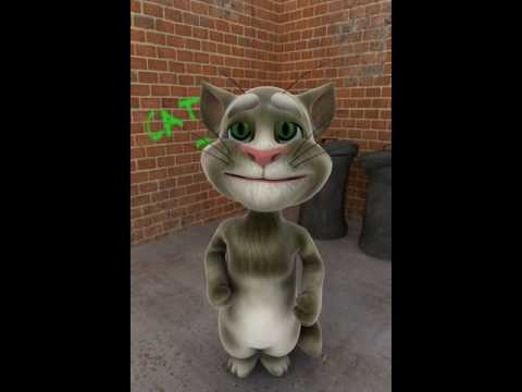 TOM IL GATTO PARLANTE GRATIS SCARICARE