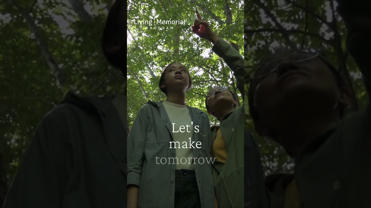 With their comforting presence.#honoringlives #batesville #livingmemorial #planttrees #livinglegacy