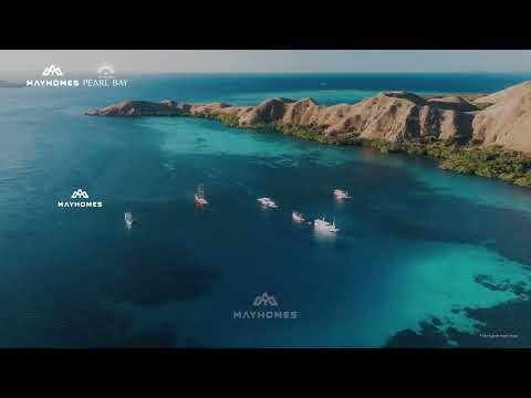 Video dự án 1