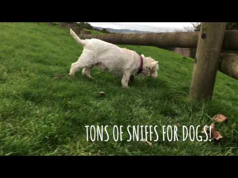 download lagu mp3 mp4 Why Spring Is The Best Season, download lagu Why Spring Is The Best Season gratis, unduh video klip Why Spring Is The Best Season