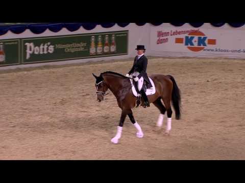 Estobar NRW 2017 - Hengststation Gut Neuenhof