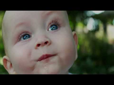 25 world Records | GLOBAL VILLAGE | Silver Jubali | Mandi Food Record  | Part -2 in hindi