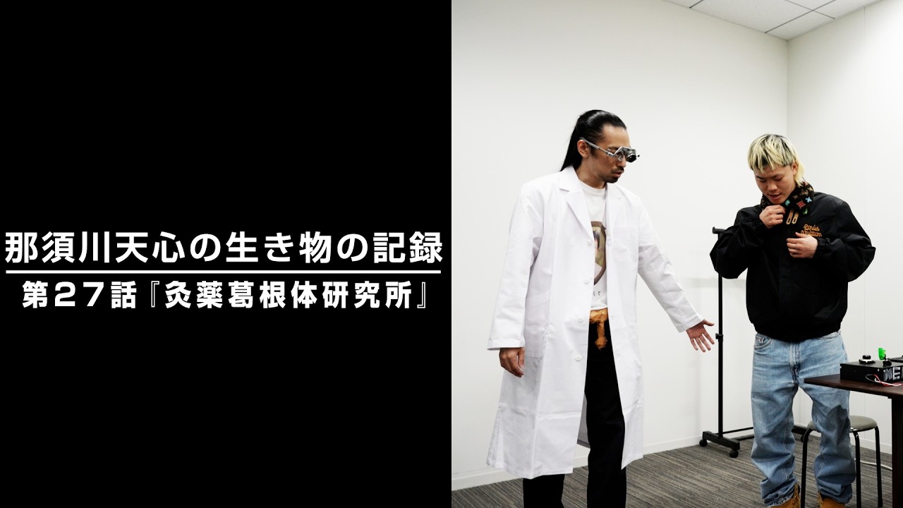 那須川天心の生き物の記録　第27話　「灸薬葛根体研究所」