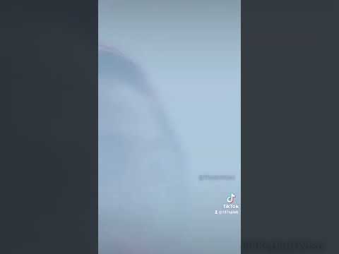 "MOVE" SPLATT KASSO X BROADDAY BABYK SNIPPET