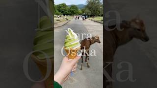 나라, 오사카 여행~🦌🍃🇯🇵 (奈良,大阪旅行) #vlog #나라 #나라공원 #오사카 #오사카맛집 #나라맛집 #일본여행 #일본인 #일본브이로그