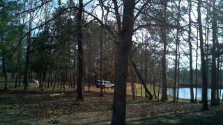 preview picture of video 'Cherokee Trace Drive-Thru Safari'