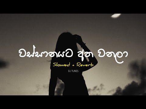Wassanayata Atha Wanala (Slowed+Reverb) වස්සානයට අත වනලා | Umara Sinhawansa