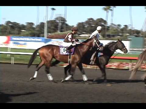 Zensational defeats Rush With Thunder in Triple Bend