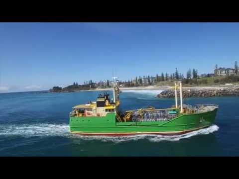 Port Macquarie surfing captured by drone
