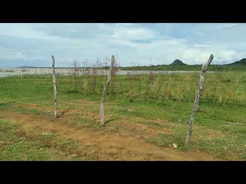 RIO SÃO FRANCISCO EM SENTO SE BAHIA 