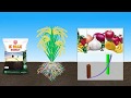 K MAX ENERGY An Innovative And Unique Bio Fertilizer Arbuscular Mycorrhizae And Micro Algae