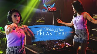 Download lagu ARLIDA PUTRI DJ PELAS TERI VIRAL TIKTOK BASS HOREG... mp3