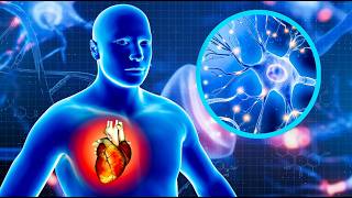 432Hz - Frecuencia de quema de grasa potente | PERDER GRASA ABDOMINAL | 98% Efectivo En 5 Minutos