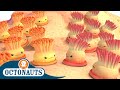 Octonauts Enemy Anemones And The Speedy Sailfish Cartoons For Kids Underwater Sea Education