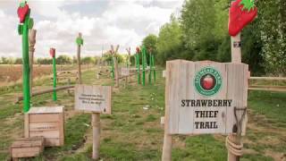 Lotmead Farm