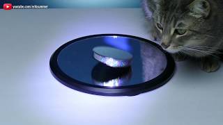 Video thumbnail for Eulers Disk |  Incredible Spinning Disk! 4K Ultra HD by topreview