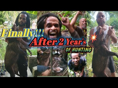 THE ELUSIVE COLLARED PECCARY - IT FINALLY HAPPENED.... #nevergiveup 