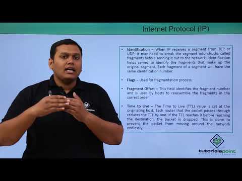 Internet Protocol (IP)