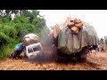 Bienvenue Au Congo Welcome In Congo