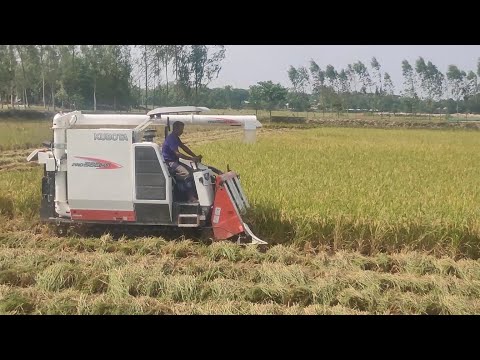 Kubota Pro588-IG combine harvester