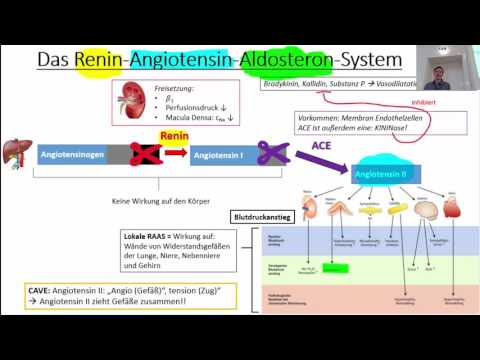 Welche Frucht wird für Bluthochdruck empfohlen Hypertension 3-4 gr.riska