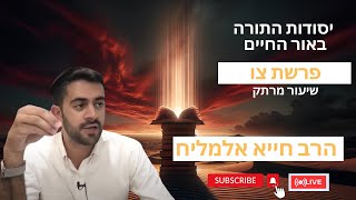 הרב חייא אלמליח פרשת השבוע צו פסח שיעור מרתק על האור החיים | 🔴 שידור חי (הרב מיכאל לסרי) - התמונה מוצגת ישירות מתוך אתר האינטרנט יוטיוב. זכויות היוצרים בתמונה שייכות ליוצרה. קישור קרדיט למקור התוכן נמצא בתוך דף הסרטון