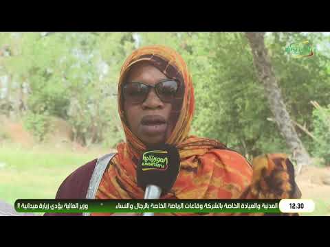 الحصاد الزراعي من الخضروات في مدينة روصو ويكند الموريتانية