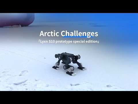 Première mondiale : un chien robot quadrupède traverse des plaques de glace arctiques traîtresses