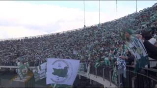 video-avellino-ternana-lo-spettacolo-della-sciarpata