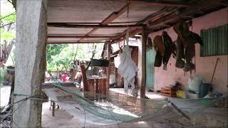 El  muchacho y el Potro/Los Cadetes de Linares