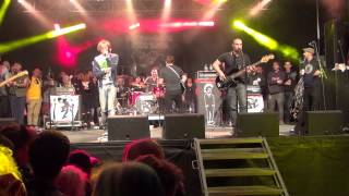 14 - Operation Ivy Tribute - Artificial Life Live At Amnesia Rockfest 2015