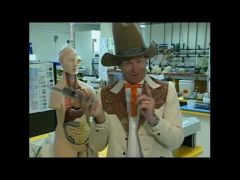 Jordan’s Sound Effects Compilation No.250:Hollywoodedge, Quick Whistle Zip By CRT057501 Part 3