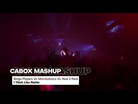 Bingo Players Vs. Mambolosco Vs. Reel 2 Real - I Thick Like Rattle (Cabox MashUp)