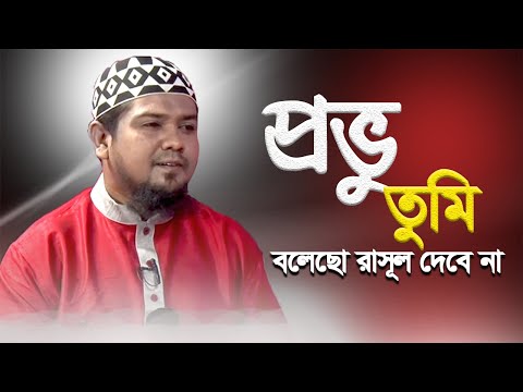 প্রভু তুমি বলেছো রাসূল দেবে না | Provu Tumi Bolecho Rasul Debe Na | Abdun Nur | Bangla Islamic Song