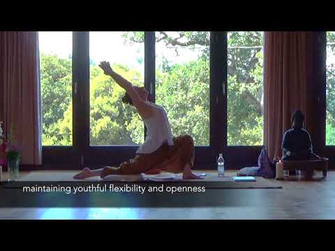 Shakti Dance® Academy: Academic Membership Reserved Area Promo