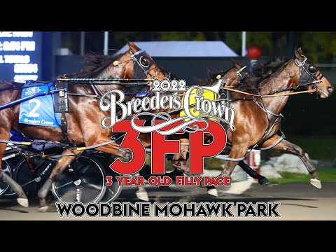 2022 Breeders Crown - Treacherous Dragon - 3FP