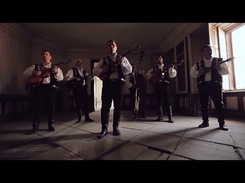 Bosutski Bećari - Želim te noćas (Lyric Video, 2012)