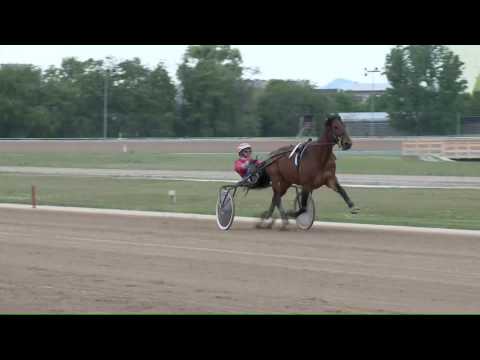 2017.04.29. 7. futam - GRAND DÍJ