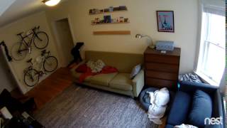 Dog saving electricity