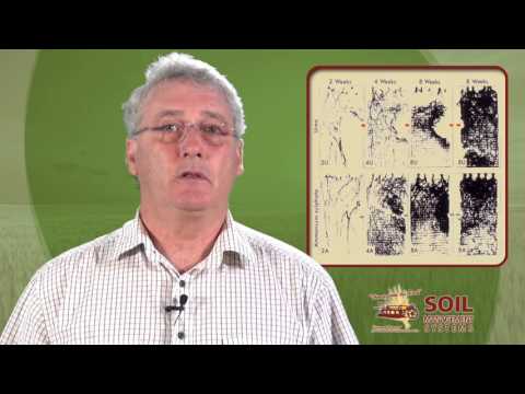 Cropping Inputs, Diary Number 2