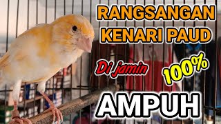 Download lagu SUARA KENARI PAUD BELAJAR BUNYI - pancingan / rangsangan kenari paud supaya cepat bunyi. mp3