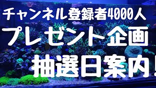 プレゼント企画!抽選日案内