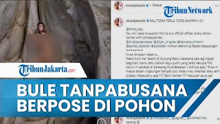 Viral Video Aksi Bule Tanpa Busana Berpose di Pohon Keramat di Tabanan Bali, Dikecam Warga Setempat
