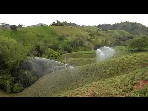 PRODUCCIÓN PORCINA INTEGRADA AL MEJORAMIENTO DE PRADERAS ITALCOL   MACEO – ANTIOQUIA