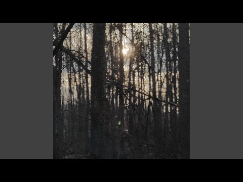 Only Breathing Once Today